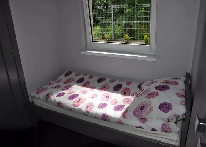 2-room 30 M2, ريفال